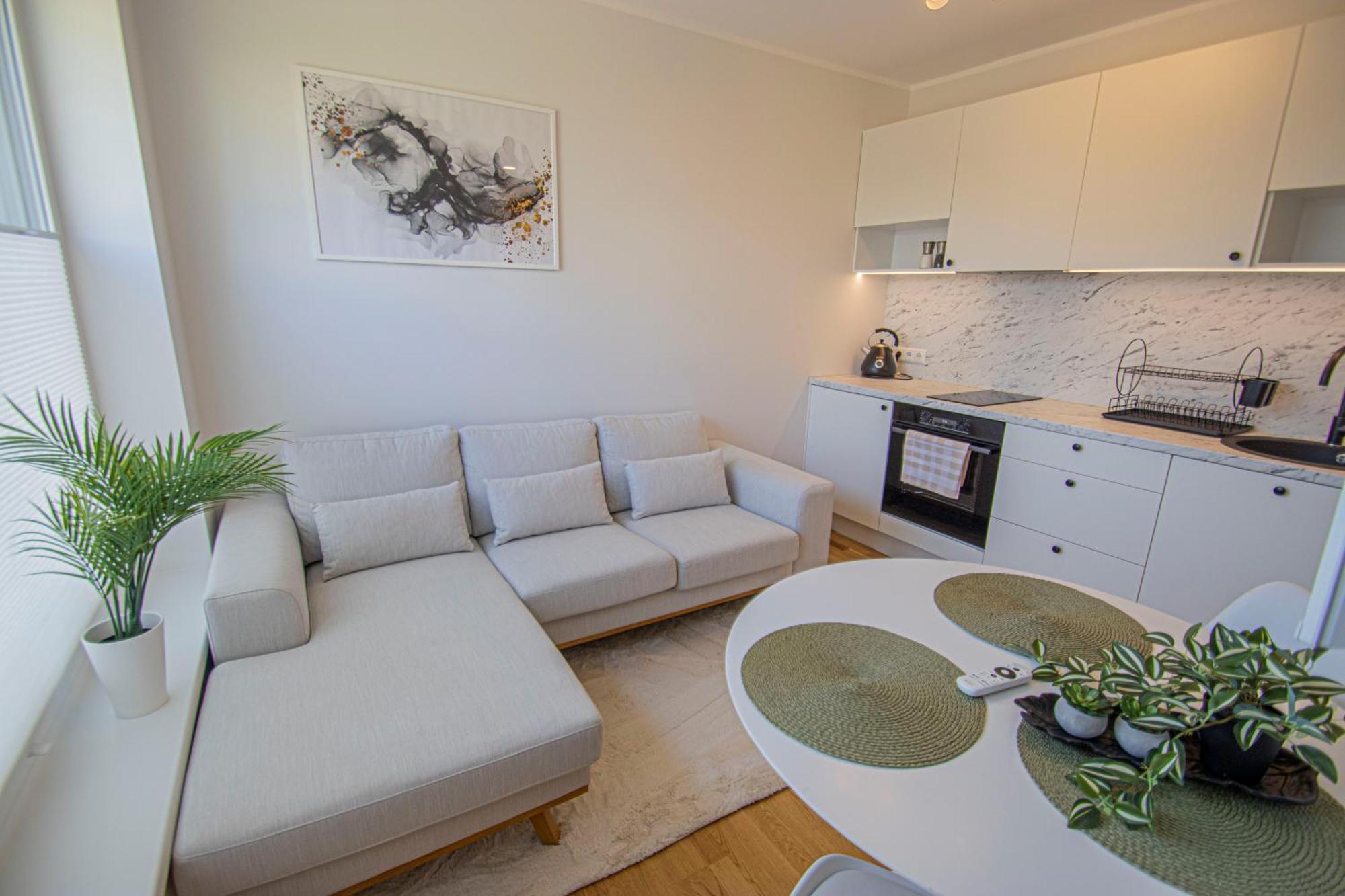 Express Premium Apartments - City Center タルトゥ エクステリア 写真